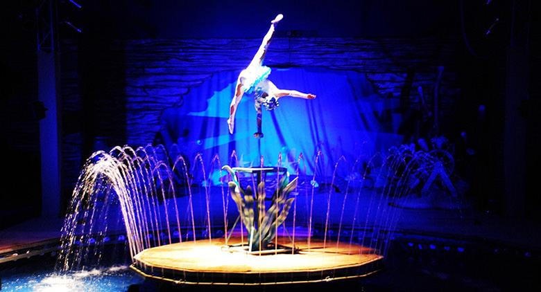 Cenerentola Circus Show