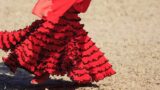 Festibàl 2017 all’ex Asilo Filangieri di Napoli tra musica e balli mediterranei