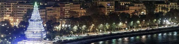 N'Albero sul Lungomare di Napoli