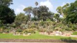 All’Orto Botanico di Napoli un percorso per non vedenti consente di riconoscere le piante