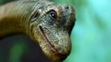 Spasso con Dinosauri в Портичи Реджиа: визиты и мероприятия с динозаврами в натуральную величину