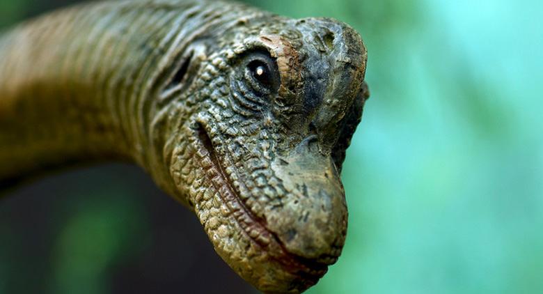 Au Palais de Portici l'événement Marcher avec les dinosaures