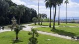 Semi di cambiamento con il gruppo scout Napoli 1: passeggiate e laboratori per i ragazzi
