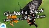 Eventi a Napoli nel weekend dal 31 marzo al 2 aprile 2017 | 18 consigli