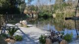 Pasqua e Pasquetta 2017 allo Zoo di Napoli con visite, giochi e caccia all’uovo