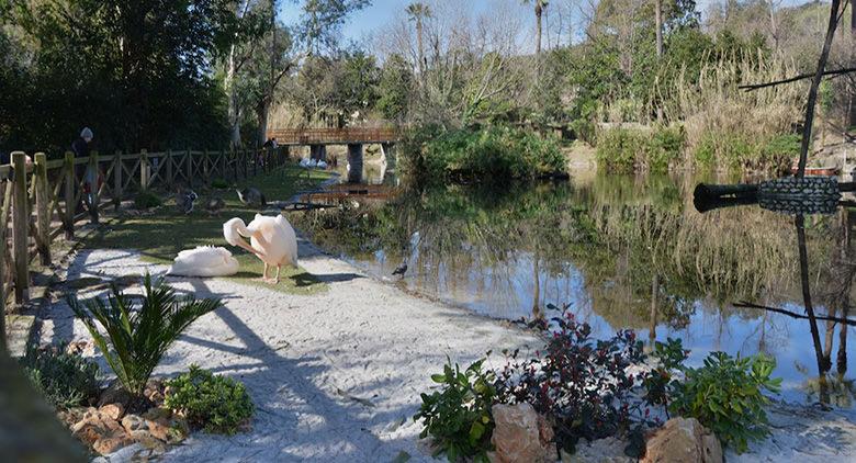 En los eventos del Zoo de Nápoles para Pascua y el lunes de Pascua 2017