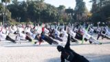 Sport zwischen den Denkmälern in Neapel: Outdoor-Training zwischen Kunst und Kultur