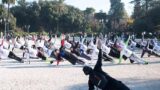 Deporte entre los monumentos de Nápoles: entrenamiento al aire libre entre arte y cultura.