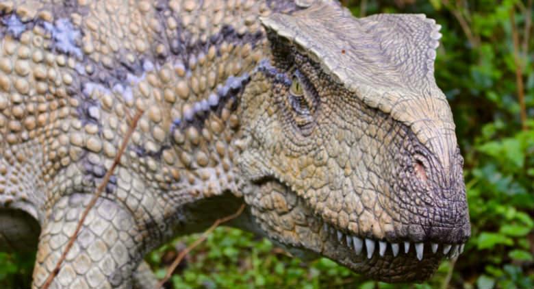 Geführte Besuche in der Nacht zur Dinosaurier in Fleisch und Knochen Ausstellung im Astroni Reservat