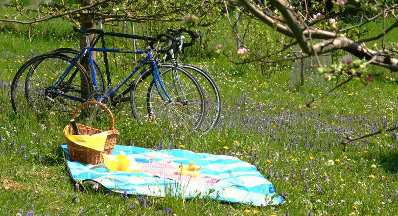 Zum Fest der Befreiung ein selbstfinanziertes Mittagessen im Rustico Lamberti Fund