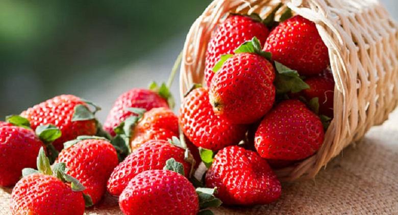 The 2017 Strawberry and Asparagus Festival arrives in Cardito