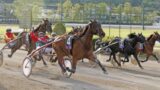 Gran Premio Lotteria all’Ippodromo di Agnano il 1° maggio 2017 con Varenne