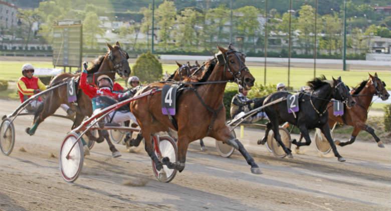 Lottery Grand Prix 2017, the main event of the Italian trotting at the Agnano Hippodrome