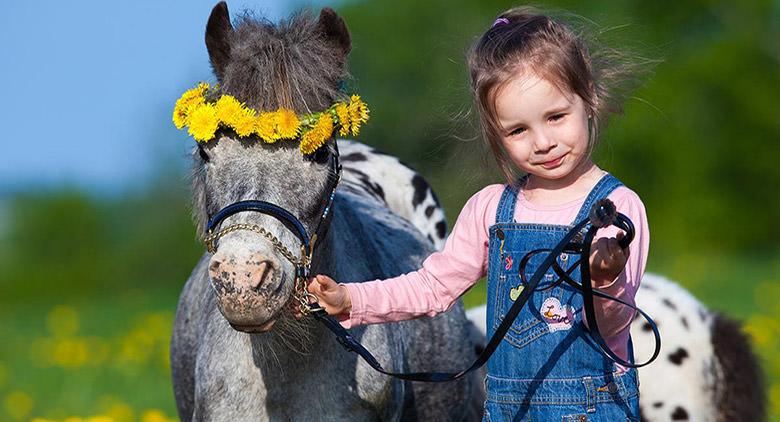 2017 Easter Monday events at the Agnano Hippodrome in Naples