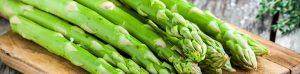 Wild asparagus festival