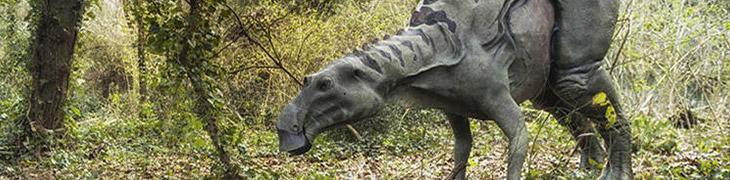 Exposición sobre los dinosaurios en la Reserva Astroni