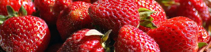 Un Cardito el festival de fresas y espárragos 2017