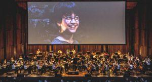 Konzert auf Harry Potter in der Flegrean Arena, 50% Rabatt auf Tickets