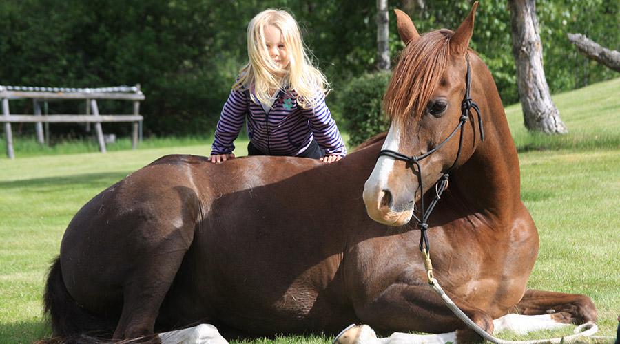 Kleines Mädchen mit Pferd