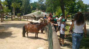 Naples Zoo, 2017 Sommercamp für Kinder mit Spielen und Workshops