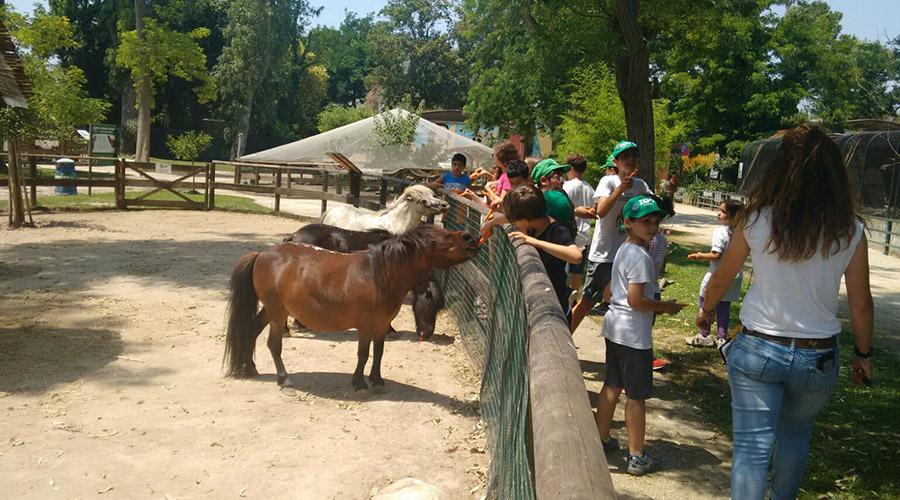 Crianças no zoológico de Nápoles, acampamentos de verão