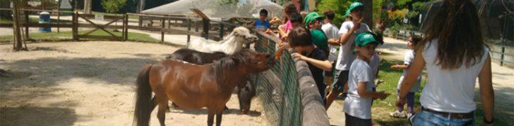 Camp d'été pour les enfants au zoo de Naples