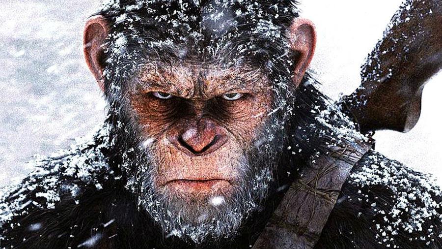 One of the protagonists of the saga The Planet of the Apes which will be broadcast at The Space Cinema in Naples