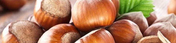 festa della nocciola 2017 a baiano
