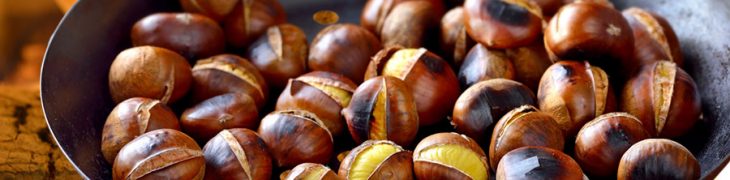 Castagne