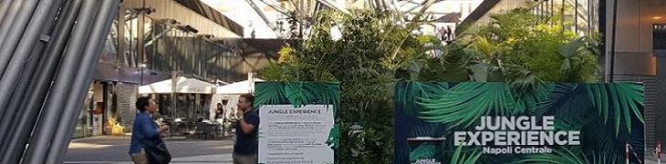 Jungle Experience
