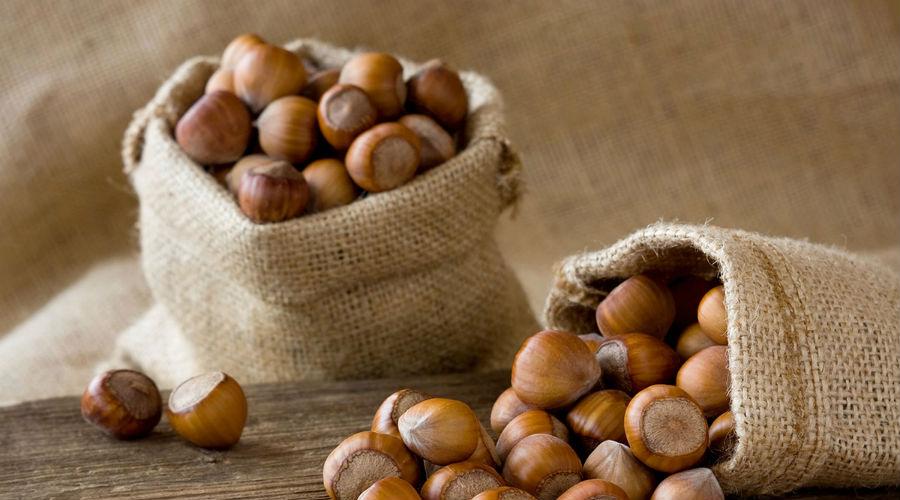 Chestnut and hazelnut festival in Avella