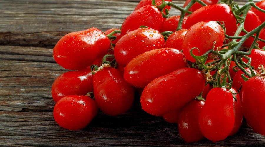 Tomate San Marzano, festival em Striano