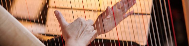 Concerti dell'Orchestra da Camera alla Reggia di Caserta