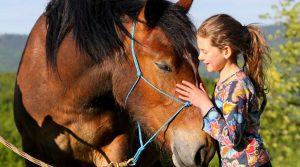 Giornata del cavallo al maneggio CELP: tante attività per bambini insieme ai cavalli