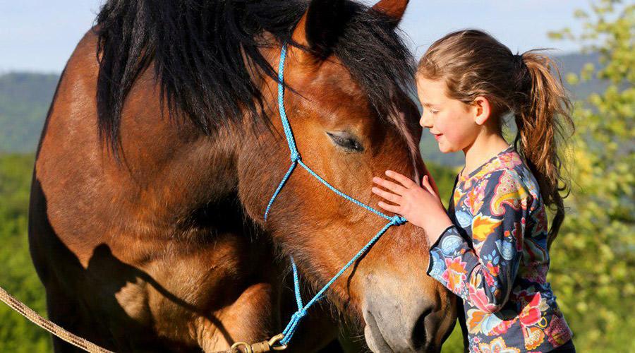 Horse day at the CELP riding school