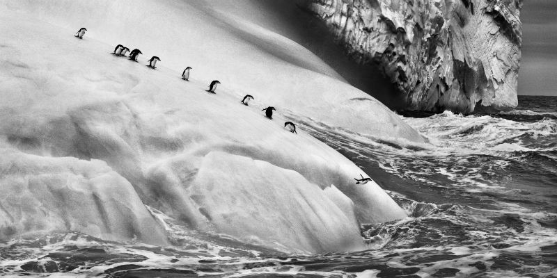 Une photographie de l'exposition "Genesi" de Sebastiao Salgado au Palazzo delle Arti à Naples