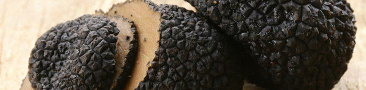 Tartufo nero