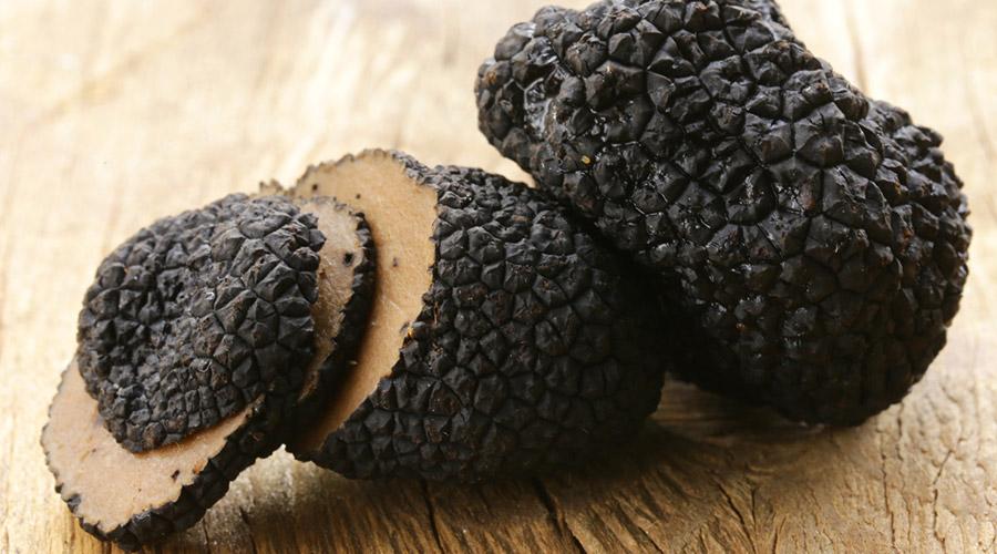 Black Truffle