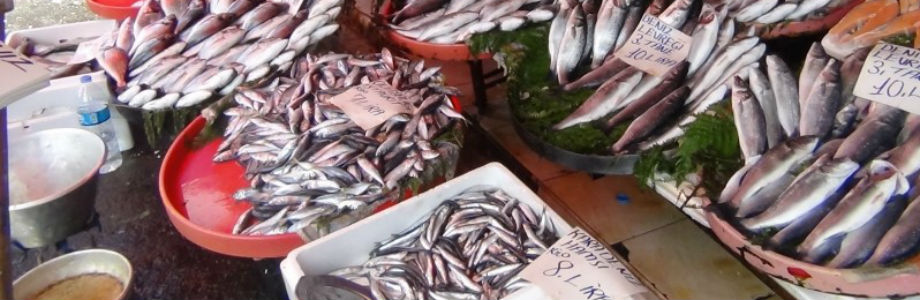 Mercato pesce Porta Nolana Il Mercato del pesce a Porta Nolana, Napoli