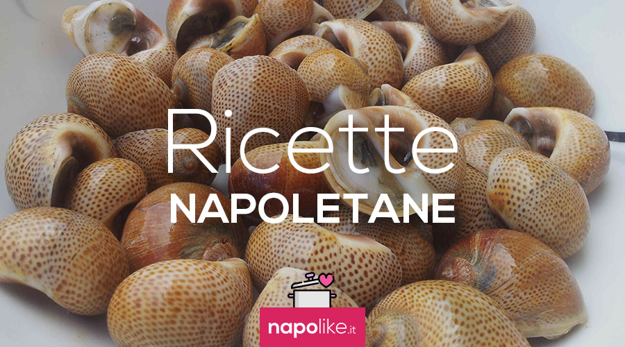 Rezept des Saucens von Sconcigli