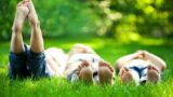 Eventi gratuiti per bambini a Capodimonte a Napoli con i laboratori del Bosco delle Meraviglie
