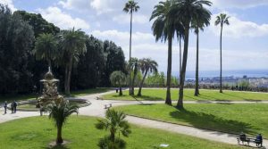 Madeira de Capodimonte