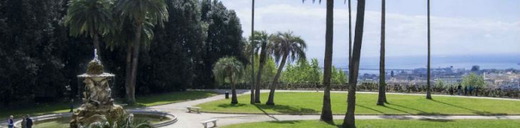 Bosco di Capodimonte