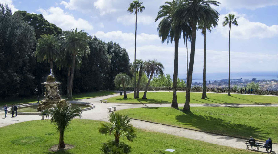 Visita guidata al Bosco di Capodimonte a Napoli con la Passeggiata del Re