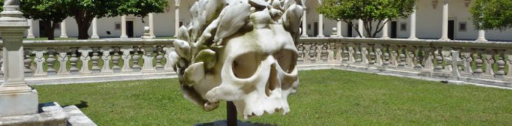 Teschio nella Certosa di San Martino a Napoli