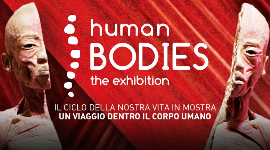 Human Bodies-The Exhibition en Nápoles