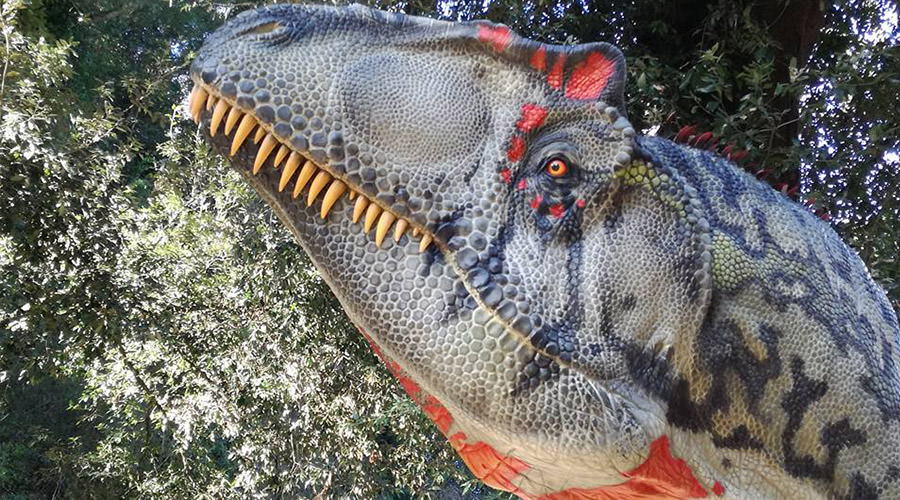 Zeige Dinosaurier im Fleisch in Neapel