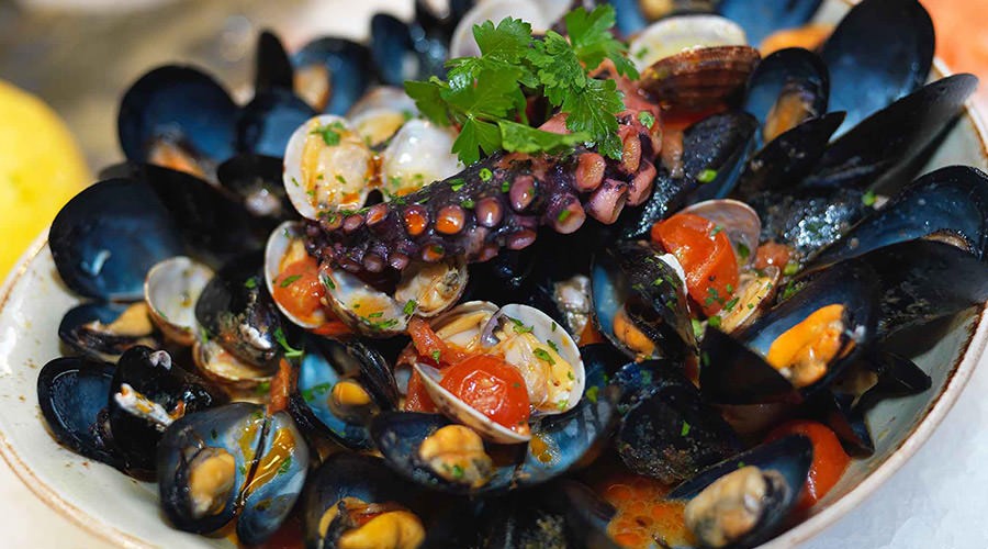 Mussel soup