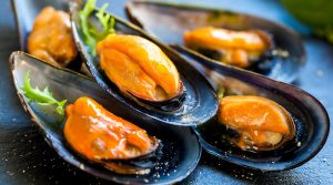 Mejillones