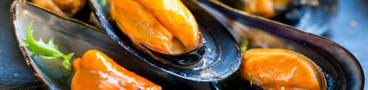 Cozze